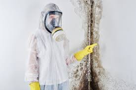 Best Mold Damage Restoration  in Nassau Bay, TX